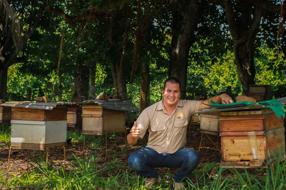 Apicultura Honey Drops